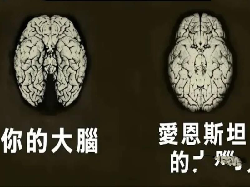 爱因斯坦死前说了两句话，护士没听懂，死后大脑被切成240片