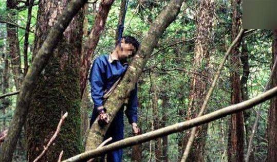 13个诡异奇闻很少人看过，第一个就吓我一跳
