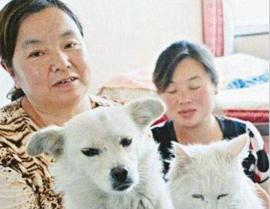 13个诡异奇闻很少人看过，第一个就吓我一跳