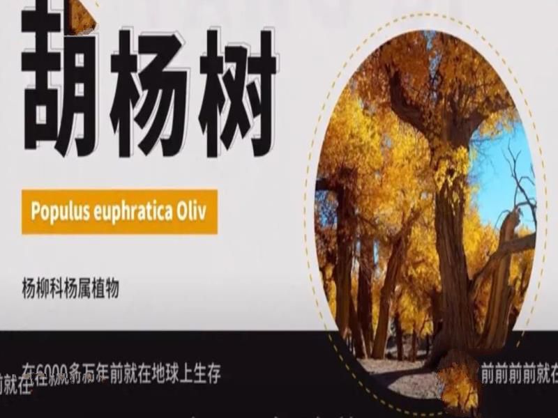 死亡之海中的神秘之地，我国最难抵达的村落，迄今不知来源