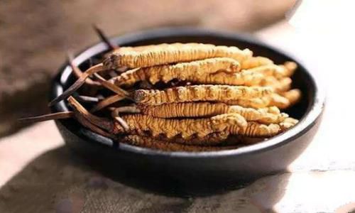 冬虫夏草是怎么形成过程?为何那么贵