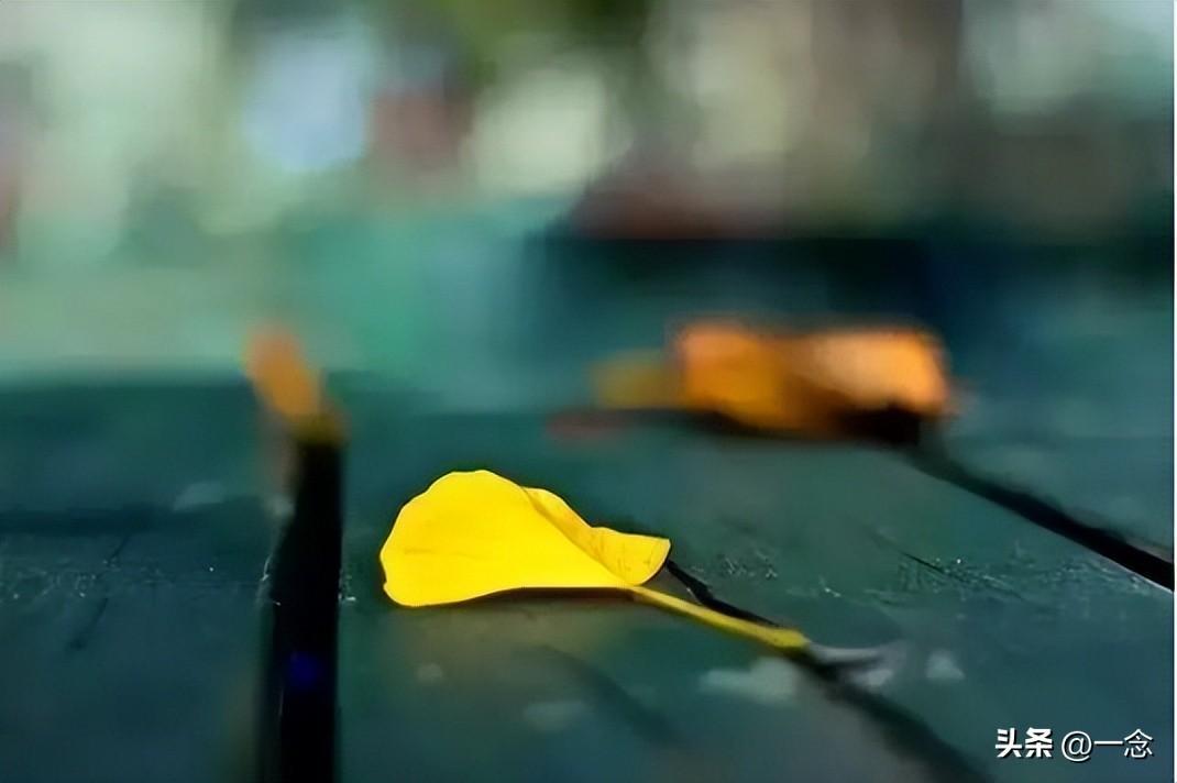 身边的奇闻异事