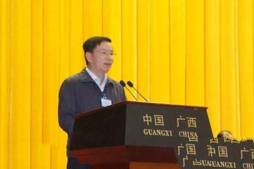 广西富豪排行榜2016，蒋仁生成为广西首富身价140亿
