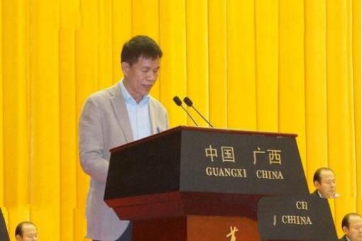广西富豪排行榜2016，蒋仁生成为广西首富身价140亿